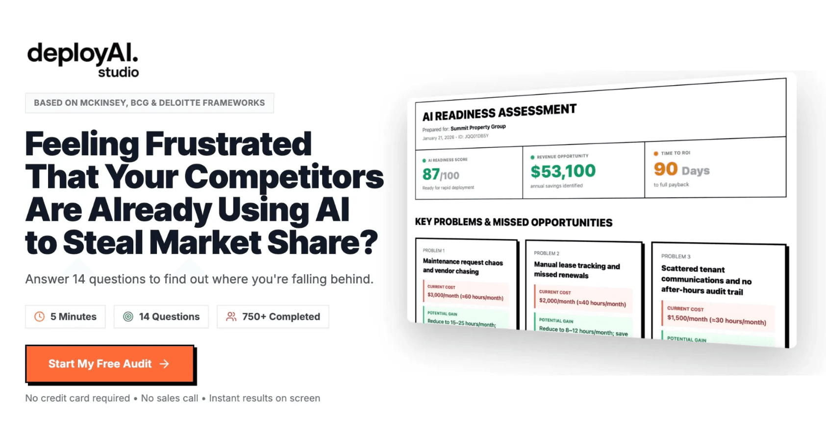 White-labeled AI audit landing page running under your brand